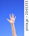 2045355