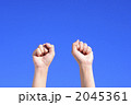 2045361