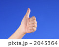 2045364