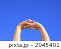 2045401