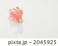 うさぎ