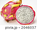 2046037