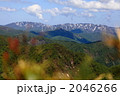 世界自然遺産　白神山地