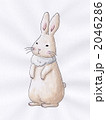 ウサギイラスト