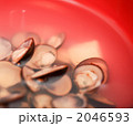 2046593