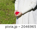 さわやか
