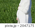 命の恵み