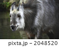 2048520