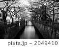 目黒川