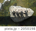 影