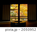 秋の光明禅寺