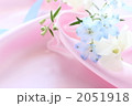 デルフィニウムの背景イメージ