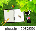 春 _k_526042