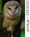 2053020