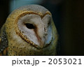 2053021
