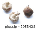 椎茸