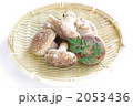 椎茸