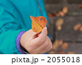落ち葉を持つ子ども