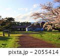 小岩井農場の桜