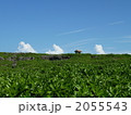 残波岬より 残波岬より