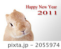 うさぎ2011グレー うさぎ2011グレー