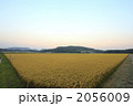 広大な田園風景