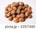 素材ナンバー 2057480 : 「漢方　肉豆蒄　ニクズク (ナツメグ)」
