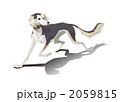サルーキ