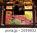 錦秋