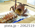 伊勢えび