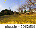 冬支度をする公園