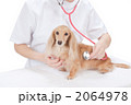 動物病院