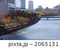 大川紅葉