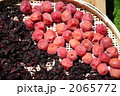 2065772