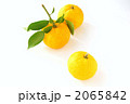 葉付きの柚子