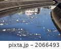雨上がりに流れる河川のゴミ