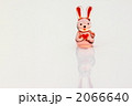 うさぎ