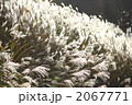 2067771