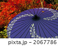 京都の秋