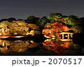 六義園のライトアップ