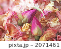 薔薇の花びら　バス用ソルト