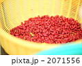 2071556