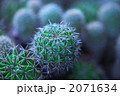 2071634