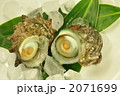 さざえ