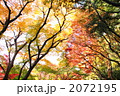 2072195