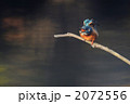 叫ぶ翡翠 2072556