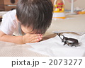 弔