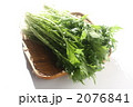 水菜