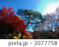 紅葉の季節
