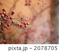 赤い実